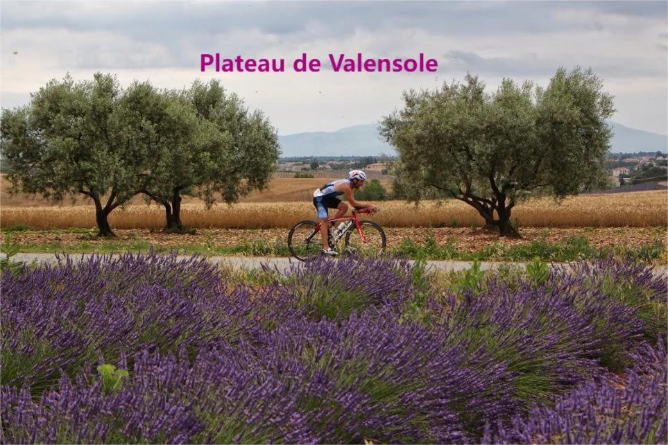 Coeur De Ville, T2, Rue Pietonne, Digne Les Bains Eksteriør bilde